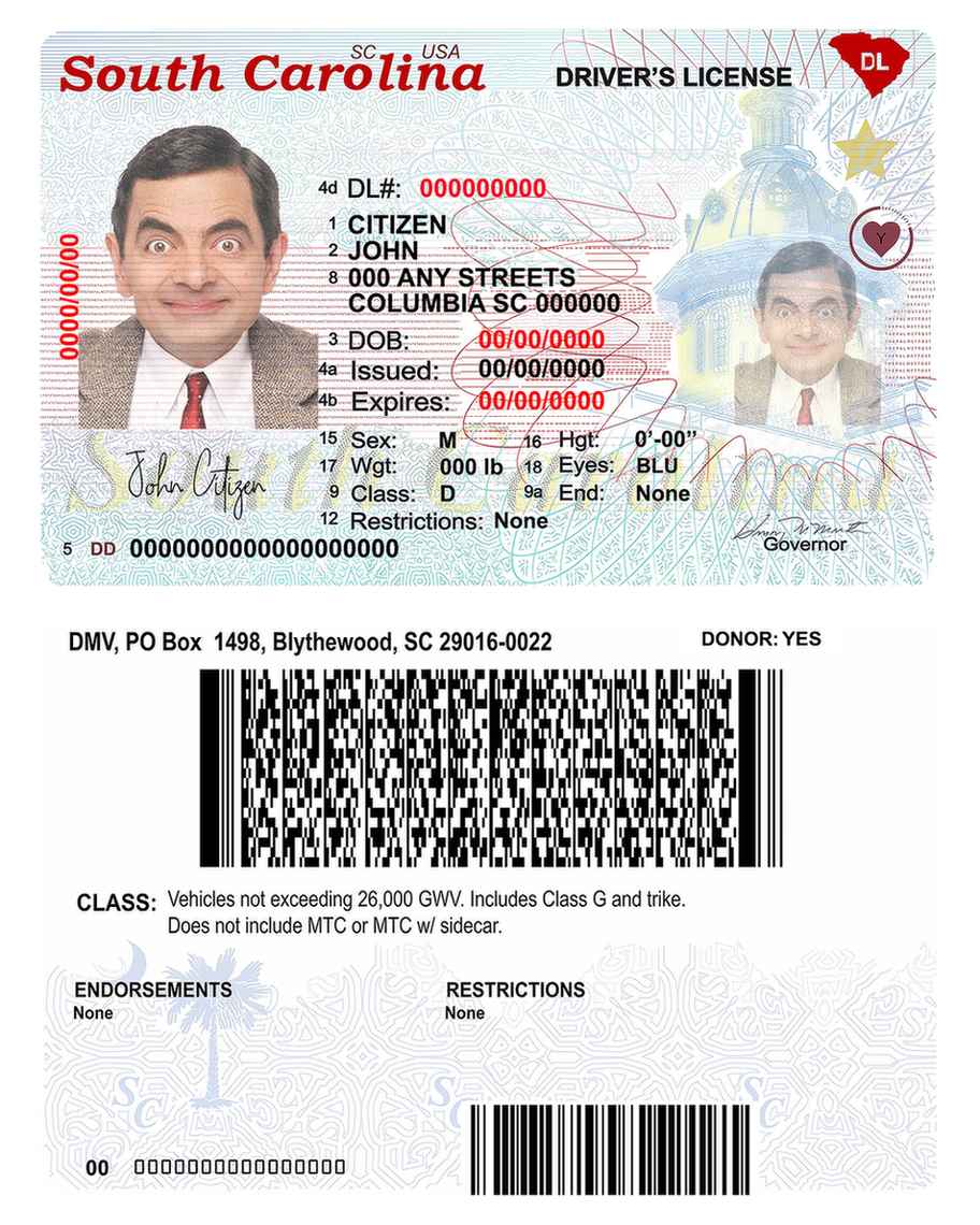 download USA South Carolina state driving license  (2020 – present)